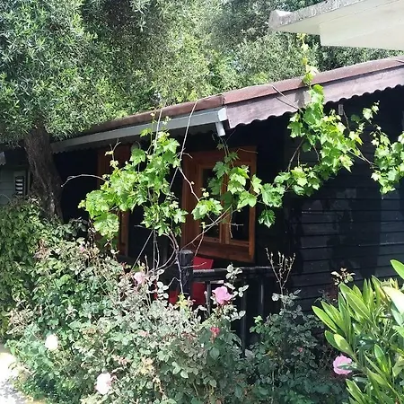 Otel Altinkum Bungalow Side