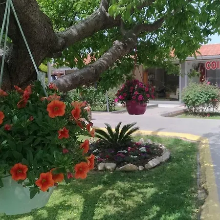 Otel Altinkum Bungalow 3*